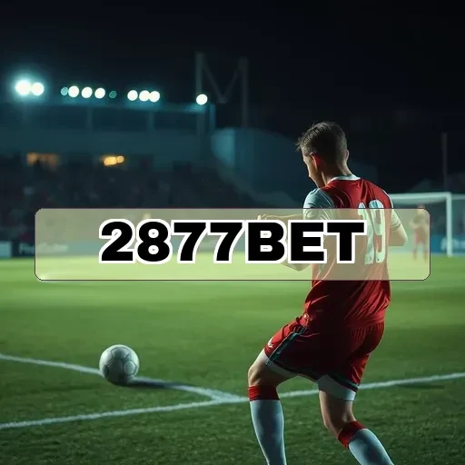 2877bet.com Fidelidade